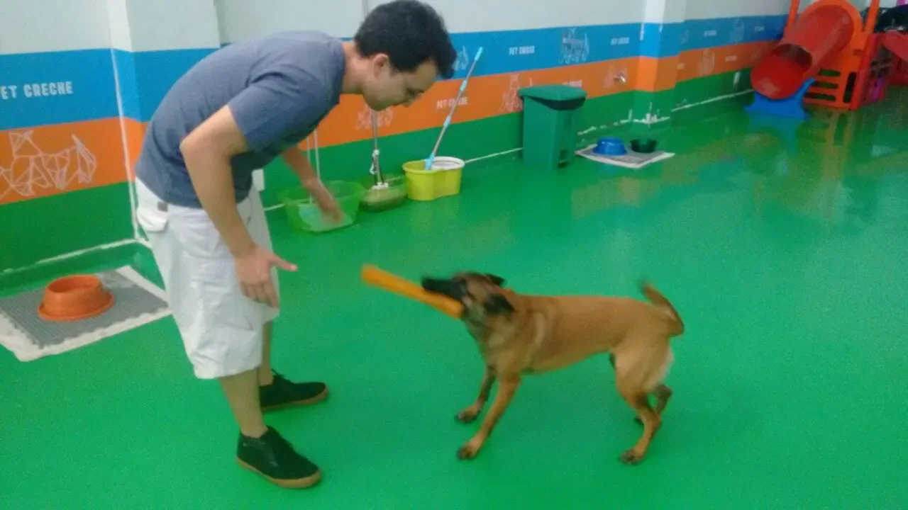 Cuidador brincando com um cachorro na sala da creche